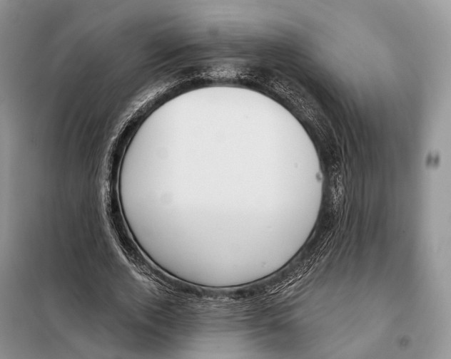 X0000098090728200805021045