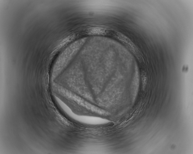 X0000098090729200805021045