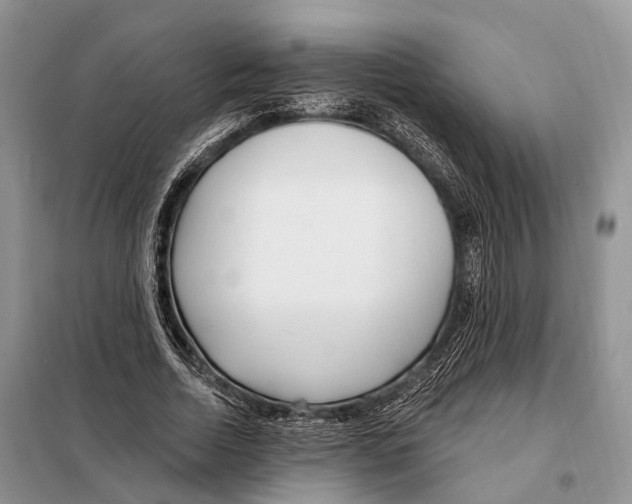 X0000098090730200805021045