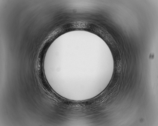 X0000098090731200805021045