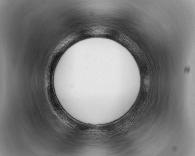 X0000098090732200805021045