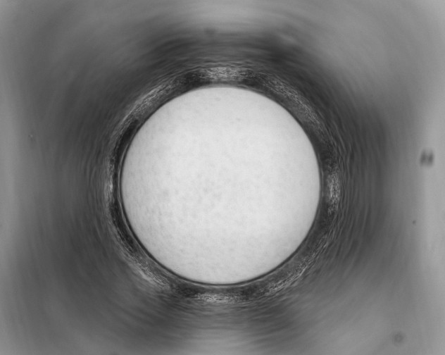 X0000098090733200805021045