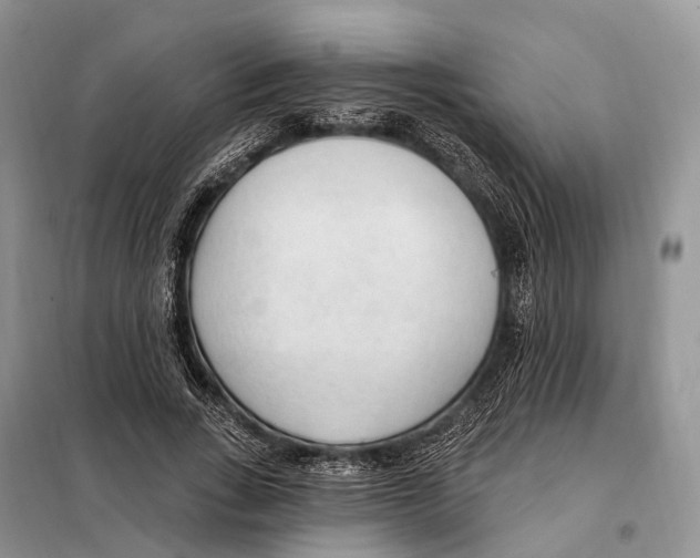 X0000098090735200805021045