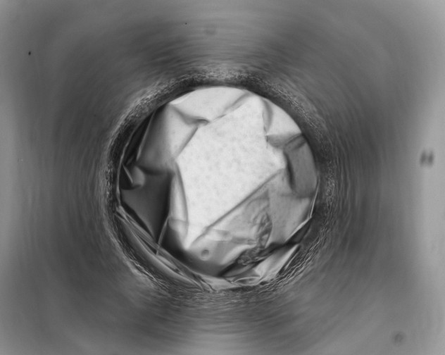 X0000098090736200805021045