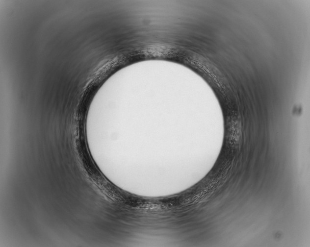 X0000098090738200805021045