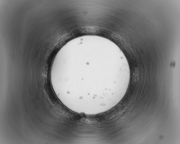 X0000098090739200805021045