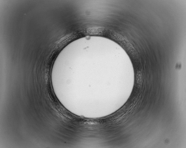 X0000098090741200805021045