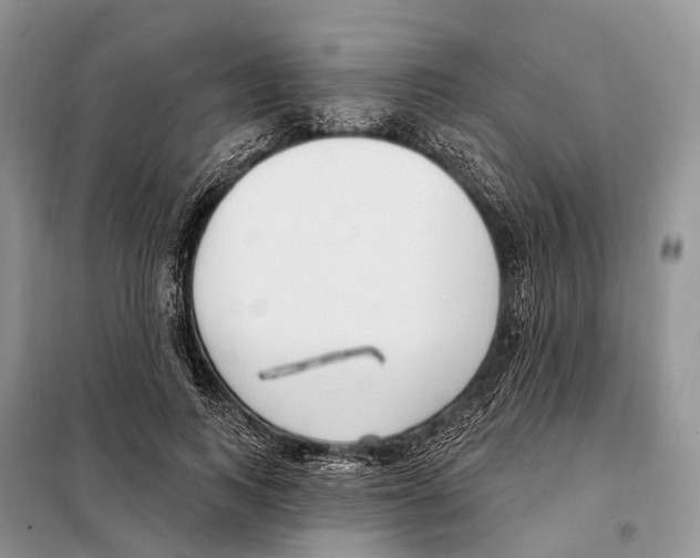 X0000098090743200805021045