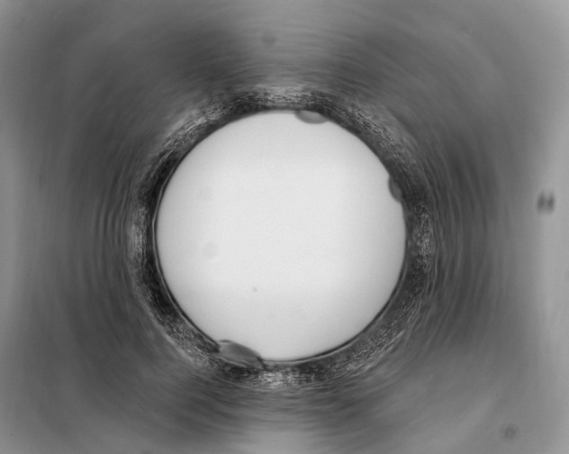 X0000098090744200805021045