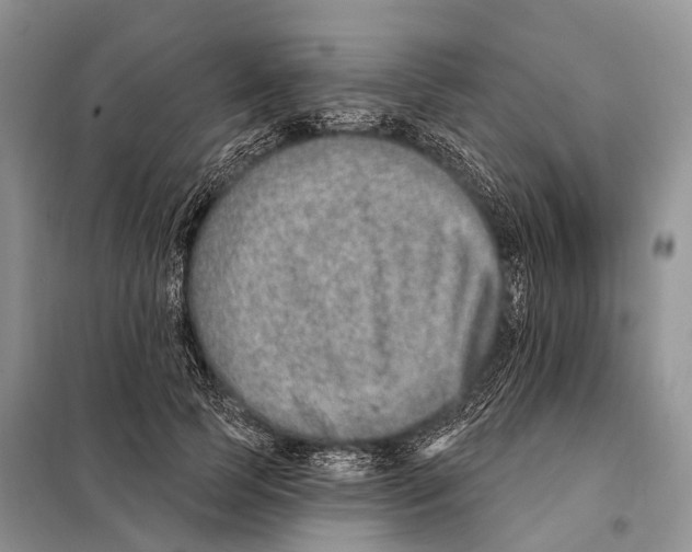 X0000098090745200805021045