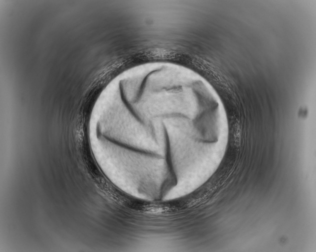 X0000098090746200805021045