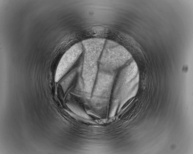 X0000098090748200805021045