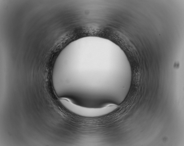 X0000098090750200805021045