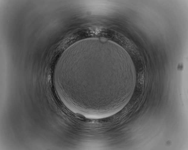 X0000098090754200805021045