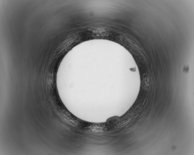 X0000098090756200805021045