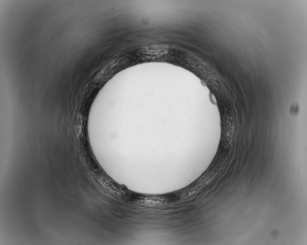 X0000098090758200805021045