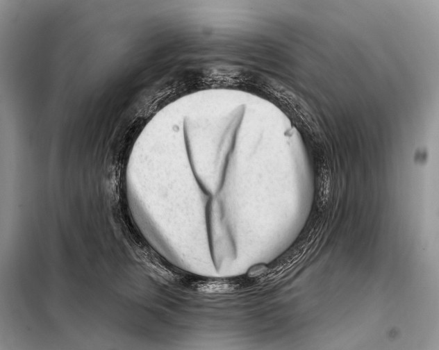 X0000098090759200805021045