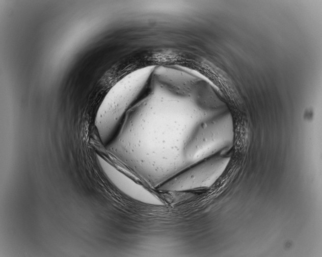 X0000098090762200805021045