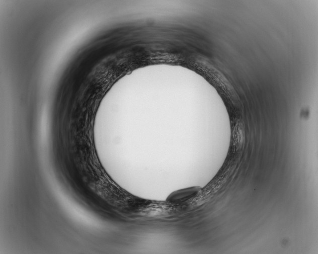 X0000098090764200805021045