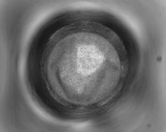 X0000098090765200805021045