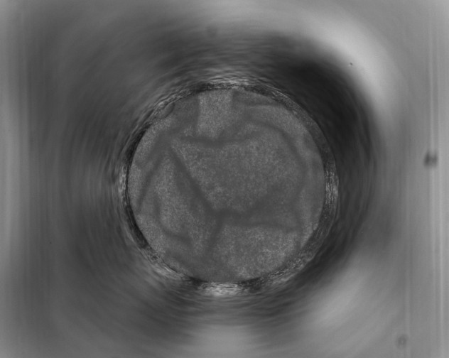 X0000098090767200805021045