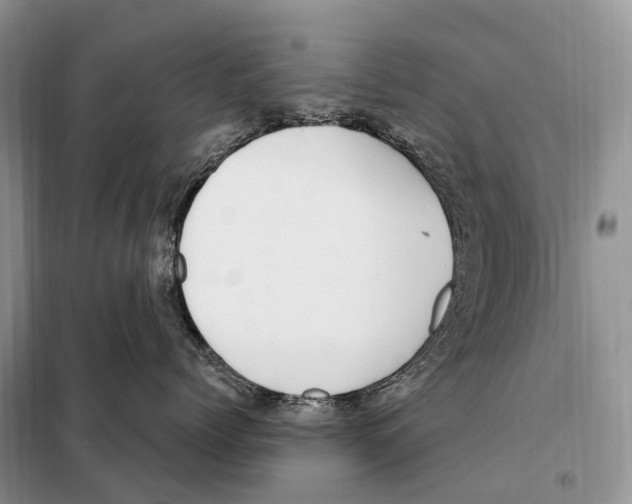 X0000098090768200805021045