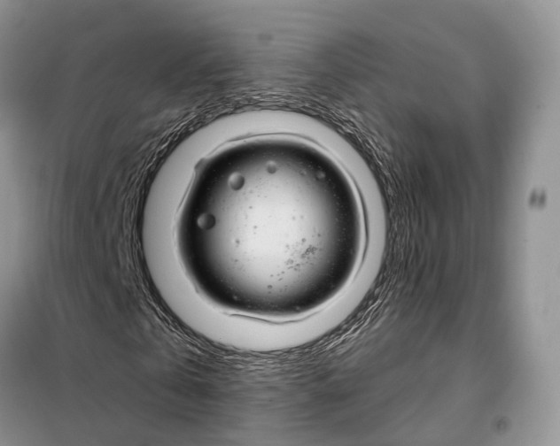 X0000098090769200805021045