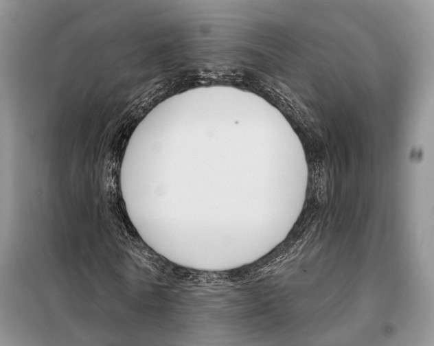 X0000098090770200805021045