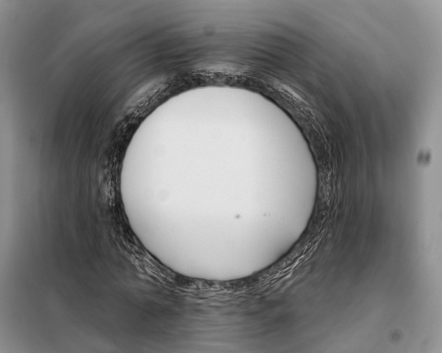 X0000098090774200805021045