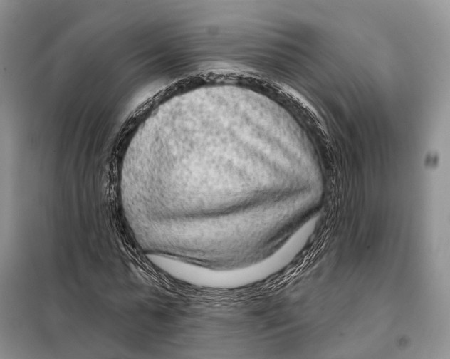 X0000098090775200805021045