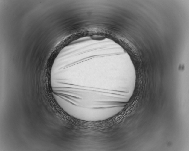 X0000098090776200805021045