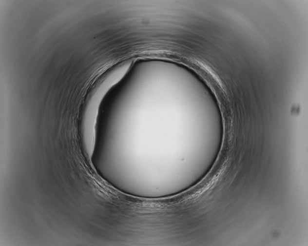 X0000098090777200805021045