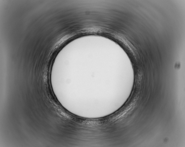 X0000098090778200805021045