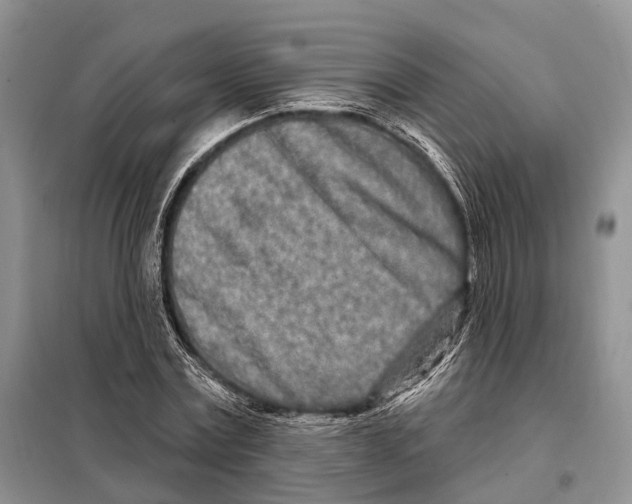 X0000098090779200805021045