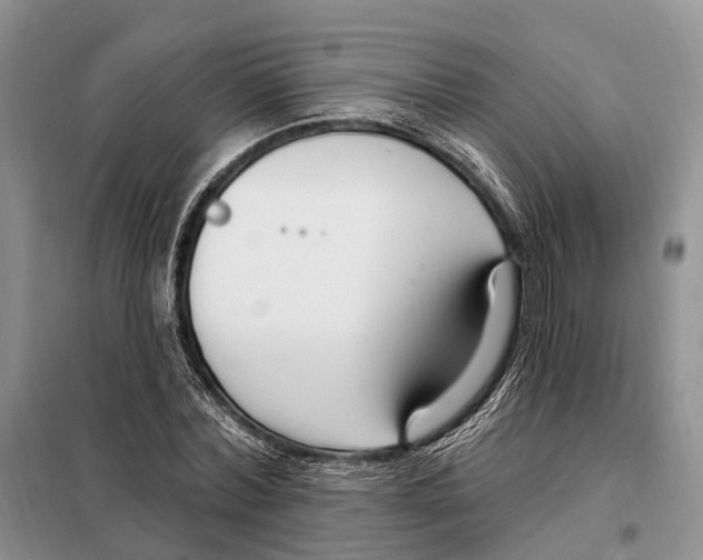 X0000098090780200805021045