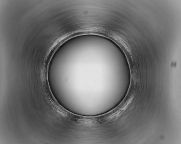 X0000098090781200805021045