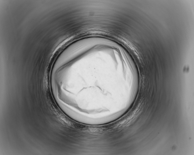 X0000098090782200805021044