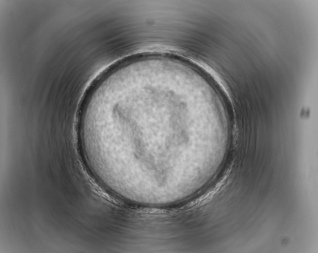 X0000098090783200805021044