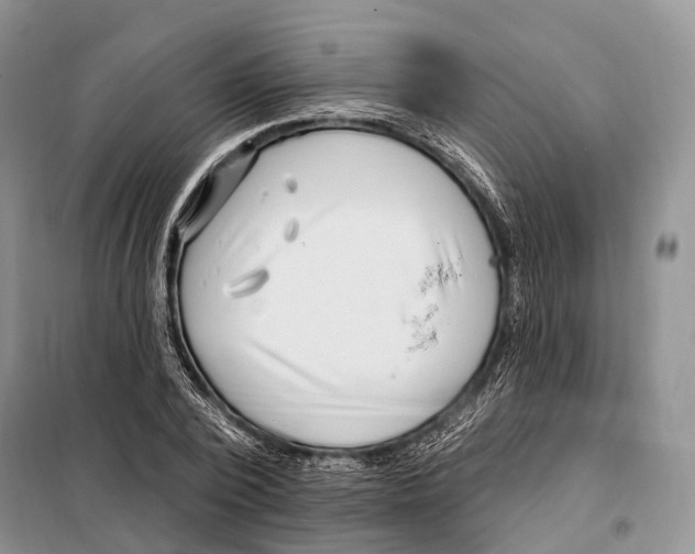 X0000098090784200805021044