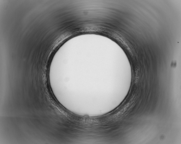 X0000098090786200805021044