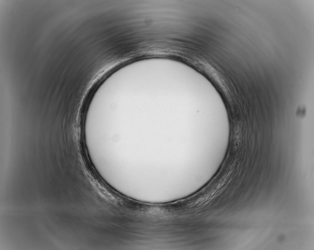 X0000098090787200805021044