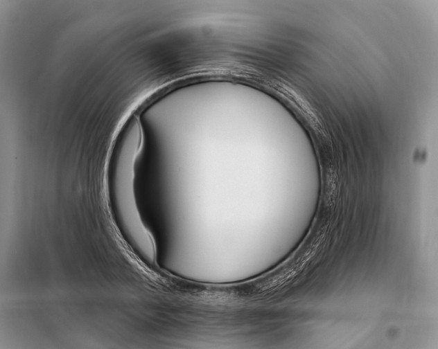 X0000098090788200805021044