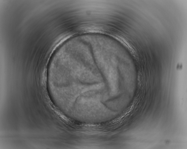 X0000098090790200805021044