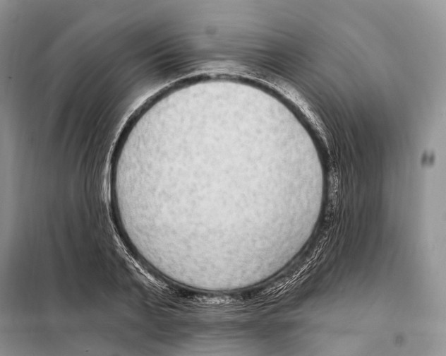 X0000098090791200805021044