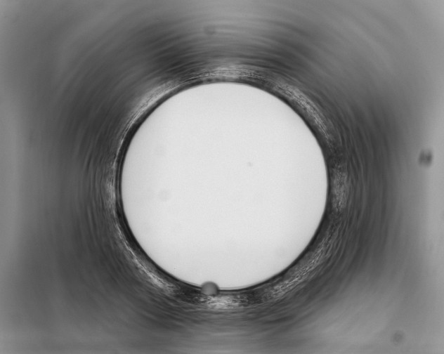 X0000098090794200805021044