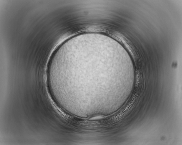 X0000098090795200805021044