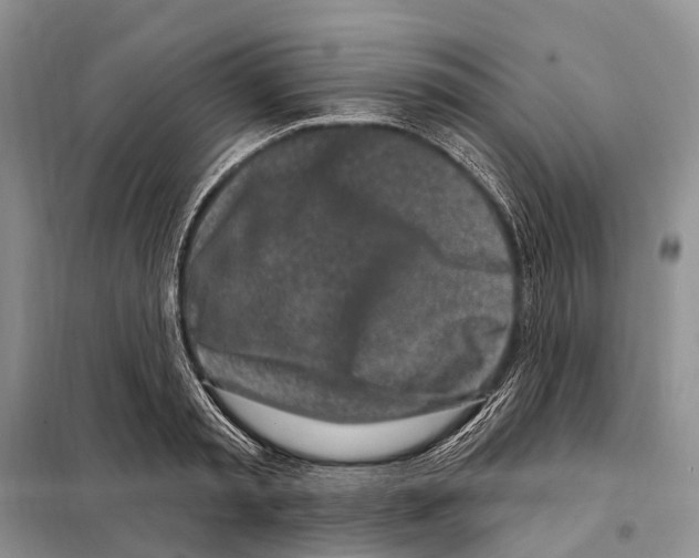 X0000098090797200805021044