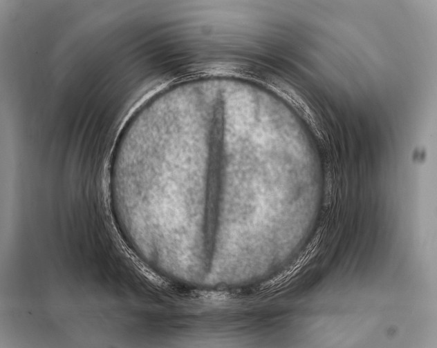 X0000098090798200805021044