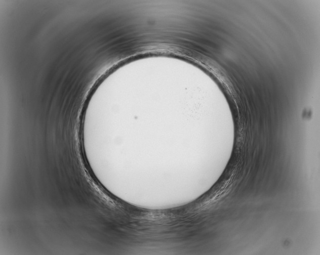 X0000098090799200805021044