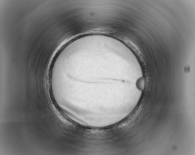 X0000098090800200805021044